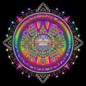 Meet your Posher, Evan